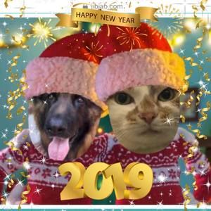 Meet your Posher, Maureen